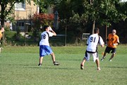 OTFL Gallery Image